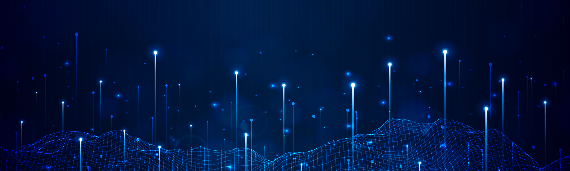 Image 2024 11 14 T04 10 51