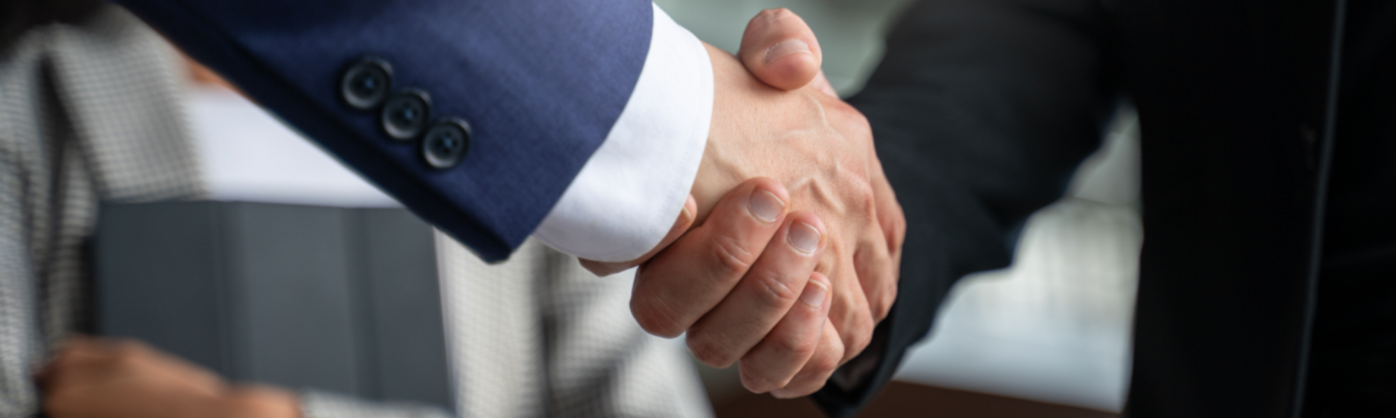 Two hands hand shaking.